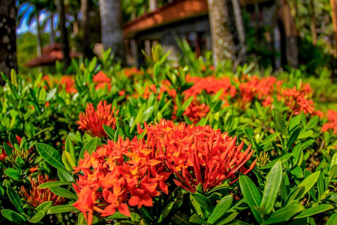 Marea Brava Hotel ฆาโก ภายนอก รูปภาพ